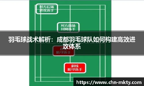 羽毛球战术解析：成都羽毛球队如何构建高效进攻体系