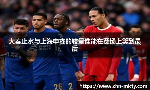 mk体育官网入口